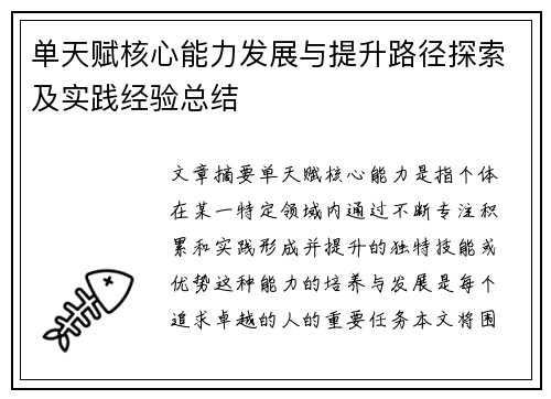 单天赋核心能力发展与提升路径探索及实践经验总结